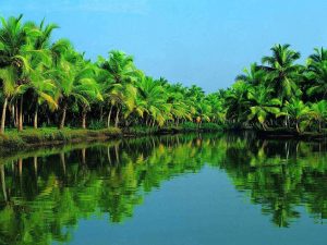 10 Honeymoon Destinations in India Tripazzi
