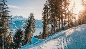 10 Honeymoon Destinations in India Tripazzi
