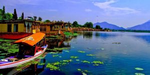 dal lake Jammu kashmir tripazzi
