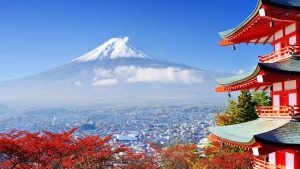 japan tripazzi
